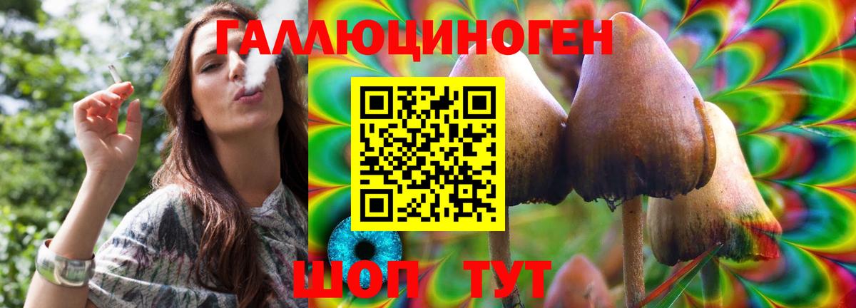 Псилоцибиновые грибы Psilocybe Качканар